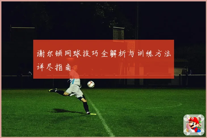 谢尔顿网球技巧全解析与训练方法详尽指南