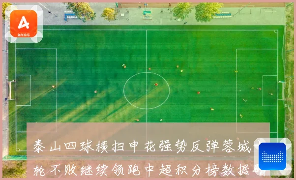 泰山四球横扫申花强势反弹蓉城十轮不败继续领跑中超积分榜数据研判