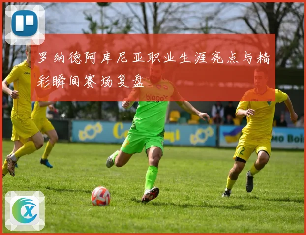 罗纳德阿库尼亚职业生涯亮点与精彩瞬间赛场复盘