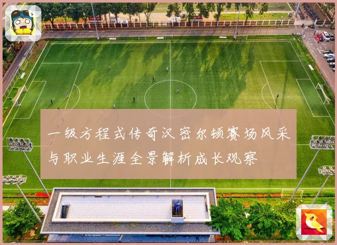 一级方程式传奇汉密尔顿赛场风采与职业生涯全景解析成长观察