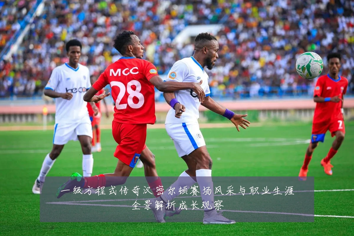 一级方程式传奇汉密尔顿赛场风采与职业生涯全景解析成长观察